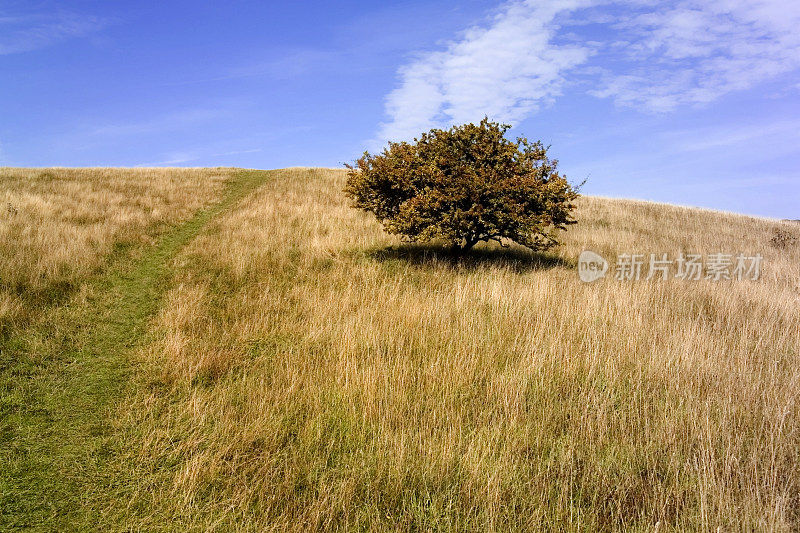 从Ridgeway Path Chilterns Chiltern Hills农田农田英国白金汉郡家庭郡